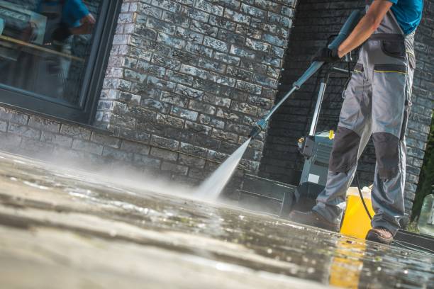 Best Sidewalk and Walkway Cleaning  in Shenandoah, LA