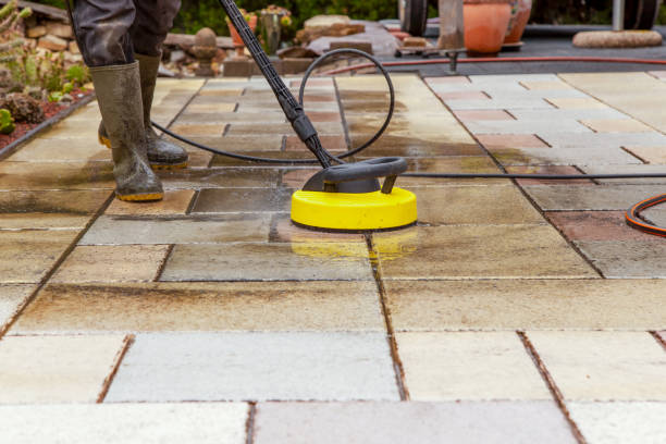 Best Solar Panel Cleaning  in Shenandoah, LA